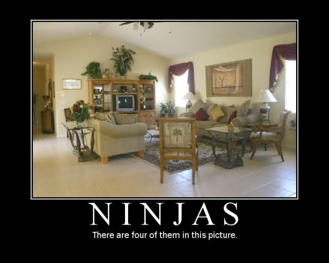 Name:  ninjas.jpg
Views: 107
Size:  37.9 KB